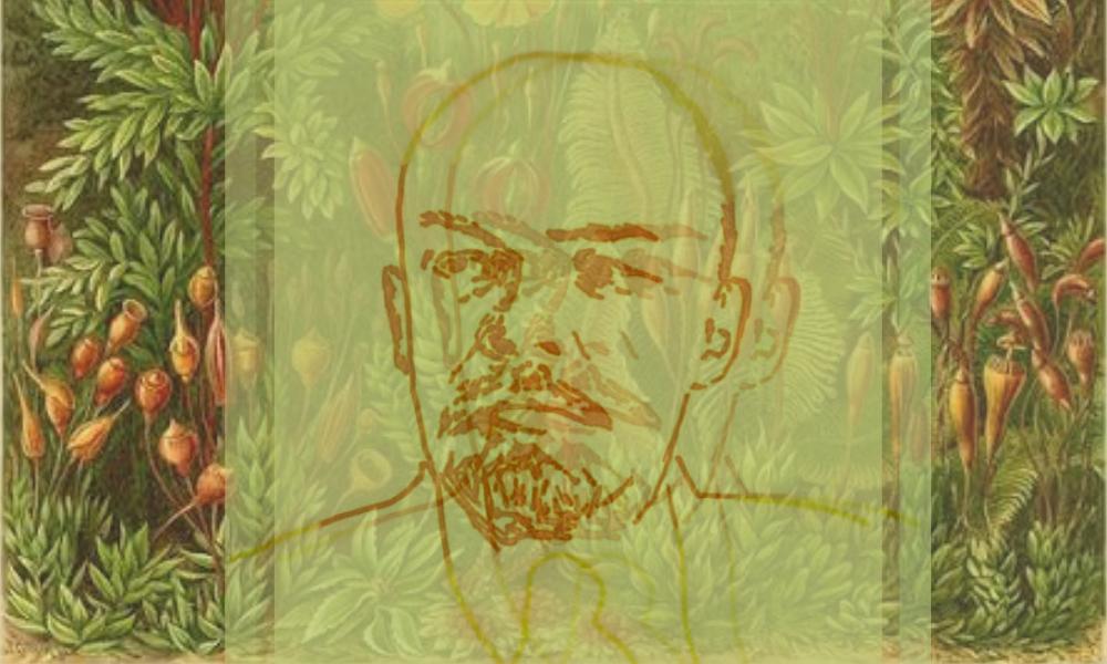 Capa: A ecologia em Lênin contra o ecocídio capitalista e a degeneração stalinista