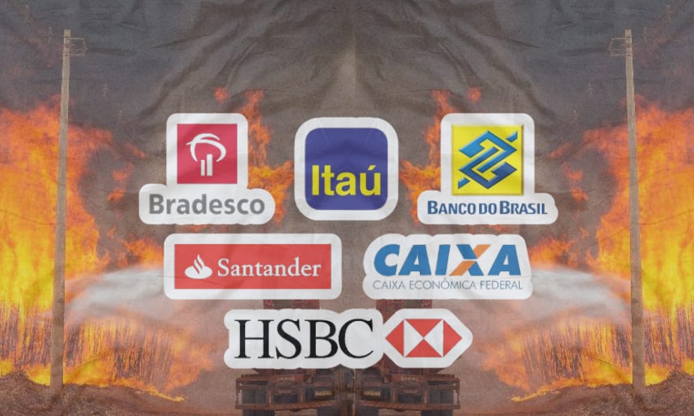 Capa: O Brasil em chamas: a culpa é do agro, do Estado, mas é também dos bancos