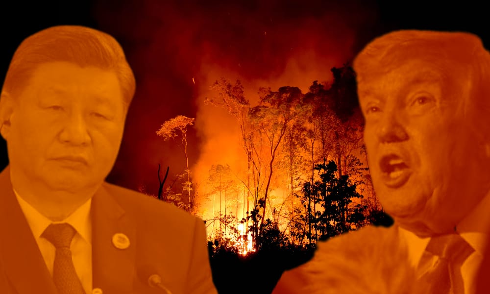 Imagem de capa do artigo