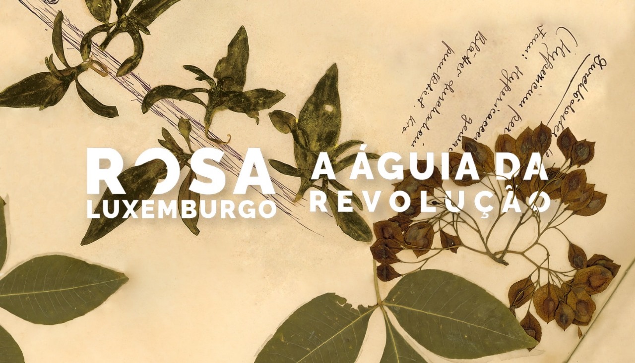 Capa: [INTRODUÇÃO] Rosa Luxemburgo, a águia da revolução para as novas gerações