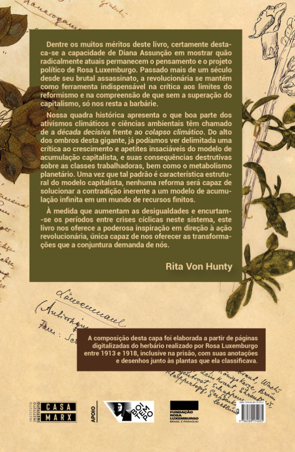 Rosa Luxemburgo: a águia da revolução - Imagem 6